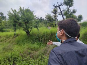 डीएम टिहरी