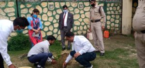 हरेला का आयोजन