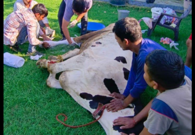 पशु स्वास्थ्य सेवा में लगी मोबाइल वेटनरी यूनिट्स सर्विस आंकड़ों से उत्साहित