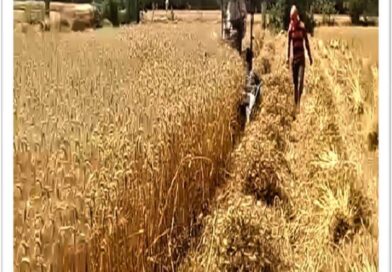 आधुनिक कृषि यंत्रों ने बदली किसान बेनी सिंह की तकदीर