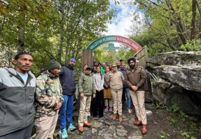 खुल गयी फूलों की घाटी, चले आओ कुदरत के नजारों का आनंद लेने के लिए