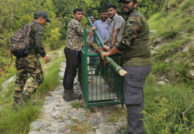 बणासी में वन विभाग अलर्ट, ड्रोन व ट्रैप कैमरों से की जा रही निगरानी