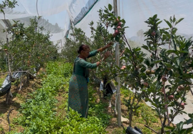 जमरिया के दो किसानों ने लिखी आत्मनिर्भरता की नई कहानी