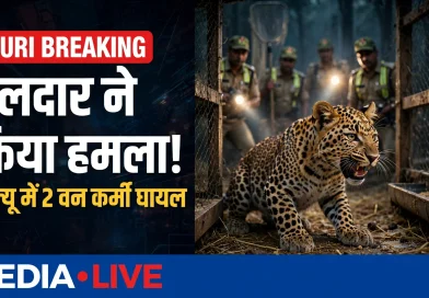 pauri mashon talla guldar attack