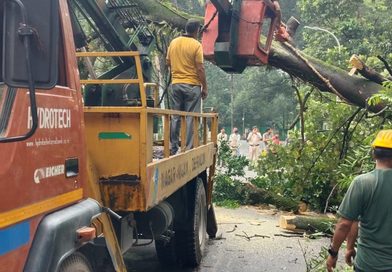 देहरादून में जिला प्रशासन ने मोर्चा संभाल लिया है। शहर की सड़कों और स्ट्रीट लाइटों की व्यवस्था सुधारने को लेकर बड़ी कवायद शुरू हुई है।