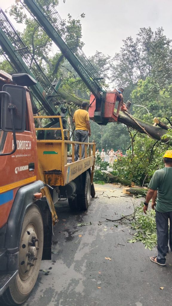 देहरादून में जिला प्रशासन ने मोर्चा संभाल लिया है। शहर की सड़कों और स्ट्रीट लाइटों की व्यवस्था सुधारने को लेकर बड़ी कवायद शुरू हुई है।