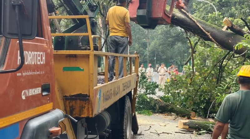 देहरादून में जिला प्रशासन ने मोर्चा संभाल लिया है। शहर की सड़कों और स्ट्रीट लाइटों की व्यवस्था सुधारने को लेकर बड़ी कवायद शुरू हुई है।