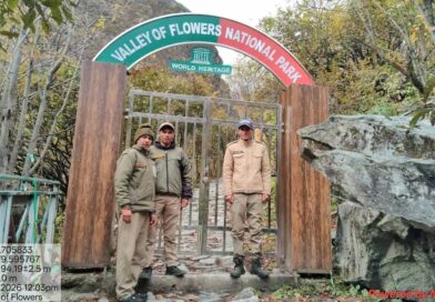 चमोली में पर्यटकों से गुलजार फूलों की घाटी का खूबसूरत नजारा
